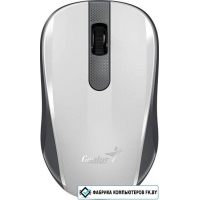 Мышь Genius NX-8008S (белый/серый)