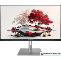 Игровой монитор RDW Computers RDW2707