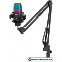 Проводной микрофон Ritmix RDM-270 (черный)