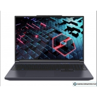 Игровой ноутбук Mechrevo Aurora X FGM-X6RP556W0051201