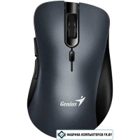 Мышь Genius Ergo 8100S (серый)