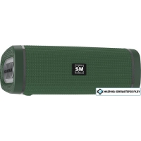 Беспроводная колонка Soundmax SM-PS5019B (зеленый)