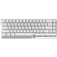 Клавиатура MCHOSE Ace 68 HE White (MCHOSE Ice Blue Magnetic)