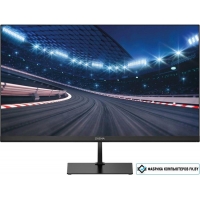 Игровой монитор Digma Overdrive 25P510F
