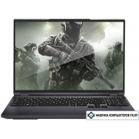 Игровой ноутбук Maibenben X-Treme Typhoon X16C X16C-R725550F44LG4E10