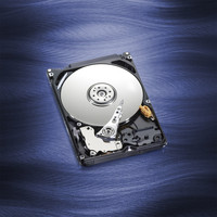 Жесткий диск WD Blue 320GB (WD3200LPVX)