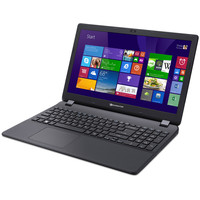 Ноутбук Packard Bell EasyNote TG71BM-C4Y1 (NX.C3UEU.003)