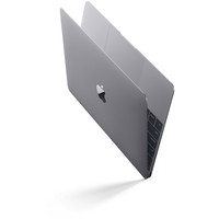 Ноутбук Apple MacBook (MJY32)