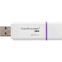 USB Flash Kingston DataTraveler G4 64GB Violet (DTIG4/64GB)