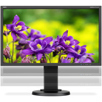 Монитор NEC MultiSync E243WMi Black/Black