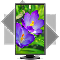 Монитор NEC MultiSync E243WMi Black/Black
