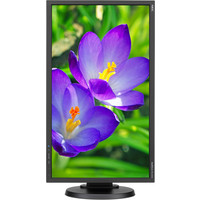 Монитор NEC MultiSync E243WMi Black/Black