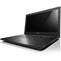 Ноутбук Lenovo G505s (59422495)