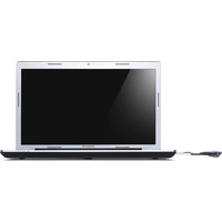 Ноутбук Lenovo Z710 (59396874)