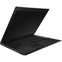 Ноутбук MSI GP70 2PE-097RU Leopard