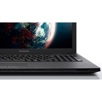 Ноутбук Lenovo G505 (59405163)