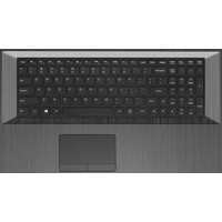 Ноутбук Lenovo Z70-80 [80FG00FKPB]