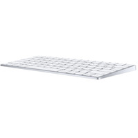 Клавиатура Apple Magic Keyboard [MLA22RU/A]