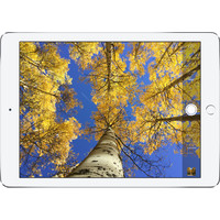 Планшет Apple iPad mini 4 128GB Silver (MK9P2)