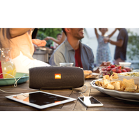 Портативная колонка JBL Xtreme Black (JBLXTREMEBLKEU)