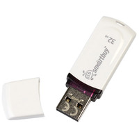 USB Flash Smart Buy 32GB Paean White (SB32GBPN-W)