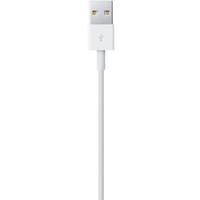 Кабель Apple Lightning to USB 1 м (белый) [MD818ZM/A]
