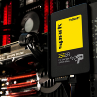 SSD Patriot Spark 256GB [PSK256GS25SSDR]