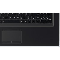 Ноутбук Lenovo IdeaPad 110-17ACL [80UM002ERA] 8 Гб