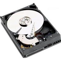 Винчестер WD Caviar SE 80Гб (WD800JD)