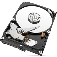 Жесткий диск Seagate Skyhawk 1TB [ST1000VX005]