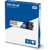 SSD WD Blue PC 1TB [WDS100T1B0B]