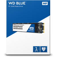 SSD WD Blue PC 1TB [WDS100T1B0B]