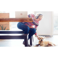 Наушники с микрофоном Plantronics Backbeat Pro 2 SE [207120-01]