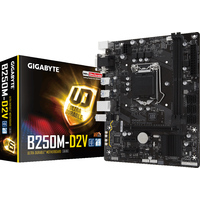 Материнская плата Gigabyte GA-B250M-D2V (rev. 1.0)