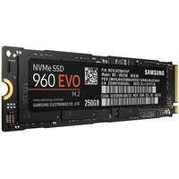 SSD Samsung 960 Evo 250GB [MZ-V6E250BW]