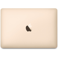 Ноутбук Apple MacBook (2017 год) [MNYK2]