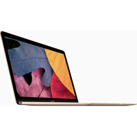 Ноутбук Apple MacBook (2017 год) [MNYK2]