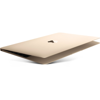 Ноутбук Apple MacBook (2017 год) [MNYK2]