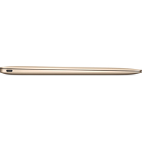 Ноутбук Apple MacBook (2017 год) [MNYK2]