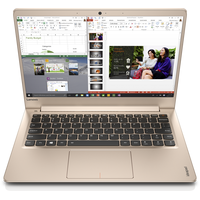 Ноутбук Lenovo IdeaPad 710-13 [80VQ008LPB]