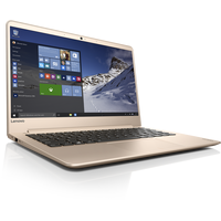 Ноутбук Lenovo IdeaPad 710-13 [80VQ008LPB]