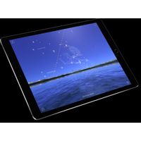 Планшет Apple iPad Pro 10.5 64GB Space Gray (MQDT2)