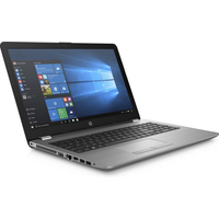 Ноутбук HP 250 G6 [1WY58EA]