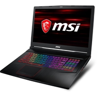 Ноутбук MSI GE73 8RE-098XRU Raider RGB 24 Гб