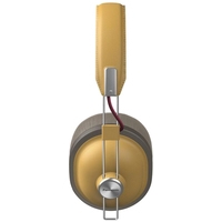 Наушники с микрофоном Panasonic RP-HTX80BGC (золотистый) Наушники с микрофоном Panasonic RP-HTX80BGC (золотистый)