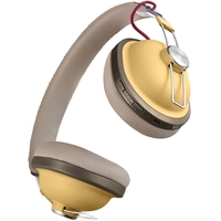 Наушники с микрофоном Panasonic RP-HTX80BGC (золотистый) Наушники с микрофоном Panasonic RP-HTX80BGC (золотистый)