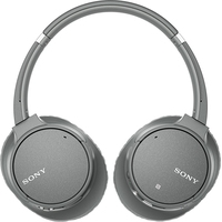 Наушники с микрофоном Sony WH-CH700N (серый) Наушники с микрофоном Sony WH-CH700N (серый)