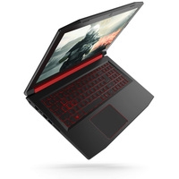 Ноутбук Acer Nitro 5 AN515-42-R33Z NH.Q3REP.005 8 Гб