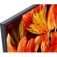 Телевизор Sony KD-65XF8596