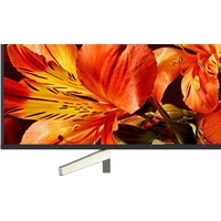Телевизор Sony KD-65XF8596